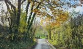 Tocht Noords wandelen Blegny - Petit tour découverte de Cerexhe-heuseu - Photo 6