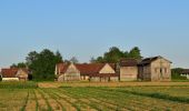 Tour Zu Fuß Riegersburg - Linke Kopfspur - Photo 2