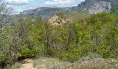 Trail Walking Le Castellard-Mélan - Cretes du castellard et anciens chemins de Sisteron, col de Mounis, église et point de vue de depuis Mélan - Photo 13