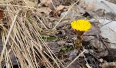 Trail Walking Le Gua - Un tour de L'Eperrimont par le sommet ! - Photo 2