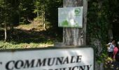 Percorso Marcia Bouilly - Forêt de Laines aux Bois - Photo 1