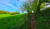 Trail Walking Houyet - Balade autour du Château de Vêves - Celles - Photo 13