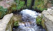 Tour Wandern Gémenos - Parc de St Pons anc. Glacière - Photo 7