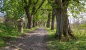 Trail On foot Willebadessen - Erlesene Natur - Schmetterlingspfad Willebadessen - Photo 5