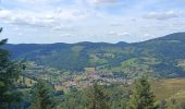 Tour Wandern Büssing - Circuit col de bussang / tête de la Bouloie - Photo 5