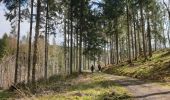 Tour Wandern Gedinne - Balade de Vencimont à Sart-Custine - Photo 3