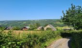 Randonnée Marche Stoumont - La Mont des Brumes - Photo 15