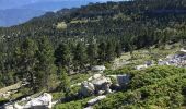 Tocht Stappen Entremont-le-Vieux - Le Granier - Photo 11