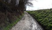 Percorso Bici da strada Watermael-Boitsfort - Watermaal-Bosvoorde - 2020.03.12.V - Photo 1