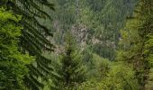 Excursión Senderismo Chamonix-Mont-Blanc - Promenade du paradis des Praz à Argentière  - Photo 18