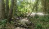 Trail Walking Durbuy - Heyd - Photo 5