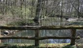 Percorso A piedi Hanau - Rundwanderweg zu alten Bäumen - Photo 6