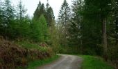 Percorso A piedi South Lakeland - Carron Crag Trail - Photo 5