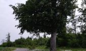 Randonnée Marche Houyet - Tour de Celles par le Bois du Mauvais Mont - Photo 7