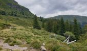 Trail Walking Albepierre-Bredons - Le Plomb du Cantal - Photo 1