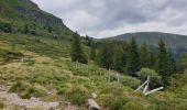 Tocht Stappen Albepierre-Bredons - Le Plomb du Cantal - Photo 1