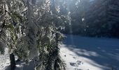 Excursión Esquí de fondo Saint-Front - 2022 01 randonnées en MEZENC : montée au Mont MEZENC et tour du Mont d’Alambre. - Photo 9