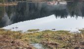 Randonnée Marche La Bresse - Tour du lac de Lispach - Photo 3