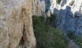 Tour Wandern Marseille - Rando#3 mont Puget  - Photo 3