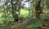 Tocht Stappen Cerfontaine - massif forestier de Cerfontaine  - Photo 4