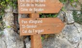 Trail Walking Peille - Peille : Cime du Baudon et Mont Ours - Photo 1
