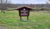 Tour Zu Fuß Wettin-Löbejün - RundwegTannengrund Teufelsgrund Rothenburg - Photo 4