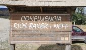 Randonnée Marche Cochrane - Confluencia ríos Baker y Neff - Photo 20