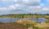 Trail Walking Waimes - petit tour en Brackvenn  - Photo 10