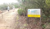 Trail Walking Roquebrune-sur-Argens - Les Petites Maures - Photo 11