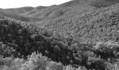 Excursión Senderismo Roquebrune-sur-Argens - La Bergerie - Piste des Clapiers - Bastide Abbe - Photo 3