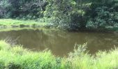 Tour Wandern Sainte-Anne - Belle mare St Anne  - Photo 3