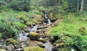 Tocht Stappen Wildenstein - Trek alsacien (boucle de Wildenstein) - Photo 16