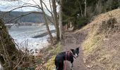 Randonnée Marche Gérardmer - Tour du lac de Gerardmer - Photo 5