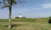 Excursión A pie Münchenbernsdorf - Rundwanderweg Münchenbernsdorf - Photo 10