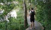 Tocht Stappen Arandon-Passins - étang de la Save - Photo 2