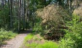 Tocht Stappen Maasmechelen - Opgrimbie 18,8 km - Photo 2