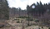 Trail Walking Baelen - 20220321 - Perkiets 7.2 Km - Photo 7
