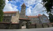 Randonnée Marche Kiischpelt - Escapardenne Eisleck Trail: Kautenbach - Clervaux - Photo 7