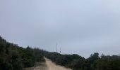 Trail Walking Seynes - La grotte des 3 ours - Photo 4