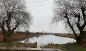 Tour Zu Fuß Blankenfelde-Mahlow - Rundwanderweg Schwanensee - Photo 10