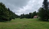 Randonnée Marche Les Rousses - le lac des rousses et le fort du risoux - Photo 5