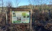 Tour Zu Fuß Libramont-Chevigny - Fagne des Anomalies - Photo 1