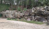 Tour Wandern Palaiseau - Lozère - Saint Rémy les Chevreuse  - Photo 5