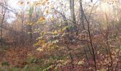 Trail Walking Oissel - 20231128-les essarts cool - Photo 19