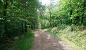 Tocht Stappen Molompize - Cantal - Molompize - Aurouze et Suc de Védrines - 17.7km 770m 7h05 - 2019 07 02 - Photo 2