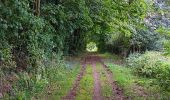 Tour Wandern Anthisnes - qwadrifyon entre la rock, sparmont et bloquay - Photo 3