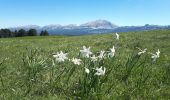 Tocht Stappen Saint-Agnan-en-Vercors - Beure - Pré Peyret -Carrières Romaines - Photo 4