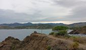 Trail Walking Port-Vendres - anse des paulliles - cap bear via les vignes retour par le chemin côtier - Photo 4