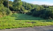 Randonnée Marche Azé - Azé - Bois et Champs - Photo 20
