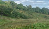 Trail Walking Sainte-Anne - La boucle  - Photo 4